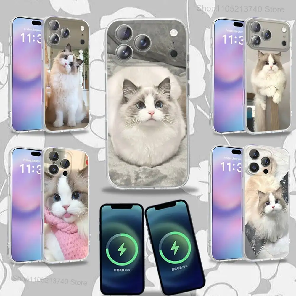 

CUTE R-Ragdoll cat For iPhone 17,12,11,14,13,15,16,Plus,Air,Pro,Max,E,Mini for Magsafe Magnetic Frosted Phone Case