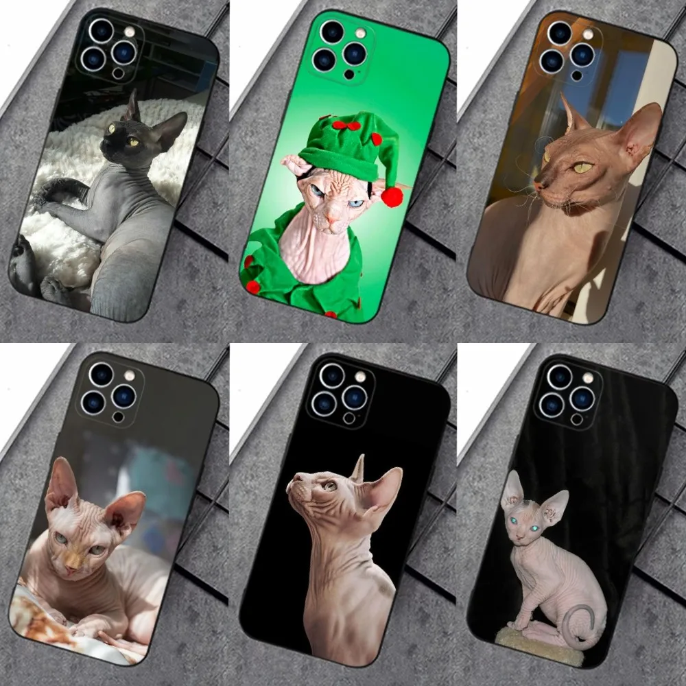 Pet Sphynx Sphinx Cat Phone Case For iPhone 16,15,14,13,12,11 Plus,Pro Max,XS,X,XR,SE,Mini,8,7，Soft Silicone Black Cover