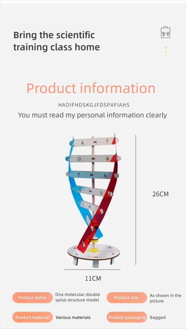 لتقوم بها بنفسك نماذج الحمض النووي البشرية اللولب ألعاب علمية تعميم التدريس تعلم التعليم لعب للأطفال أطفال لعب للتعلم 0 بيع ب