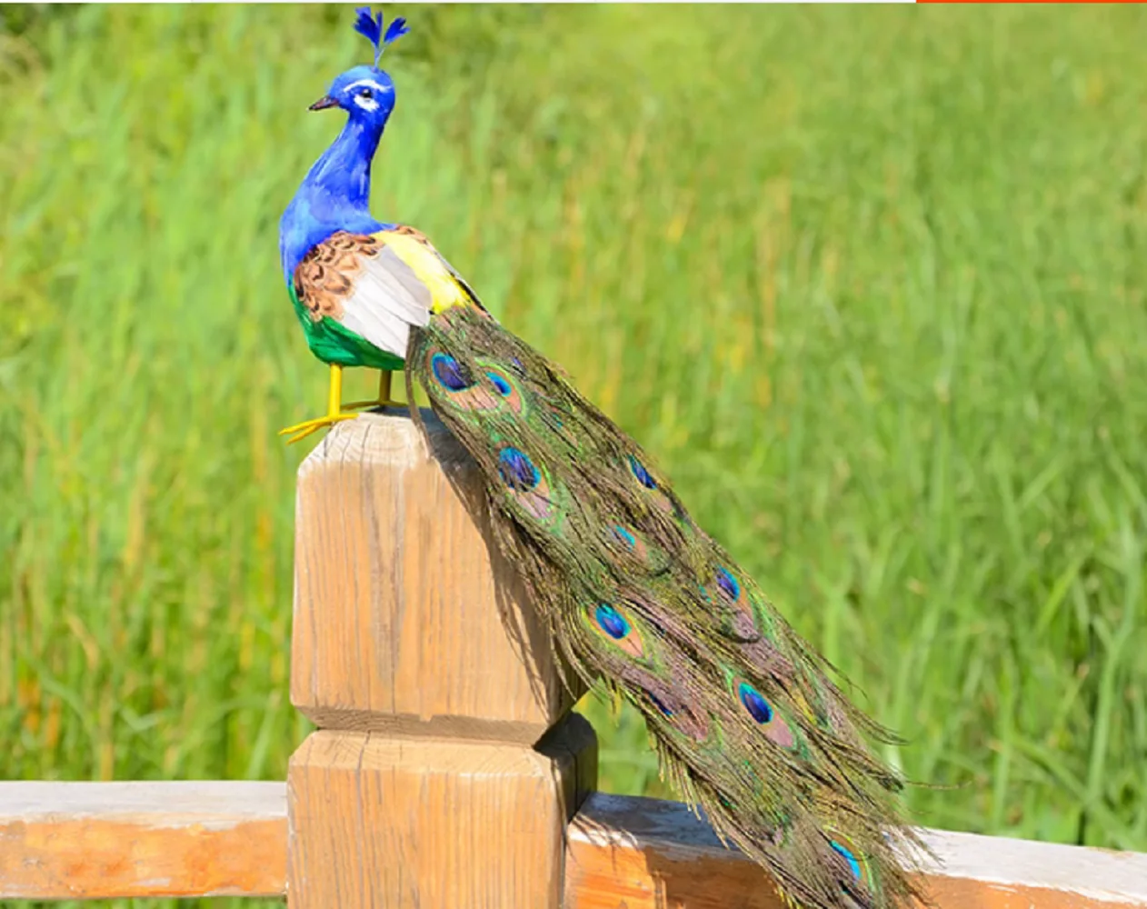 

simulation peacock bird model foam&feather peacock gift about 50cm xf2924