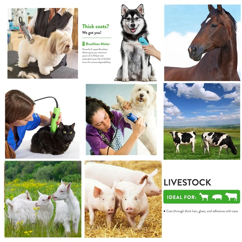 Detachable Pet Dog Cat Grooming Clipper Ceramic Blade Compatible with Most Andis，Oster A5，Wahl KM10 Series Animals Clippers