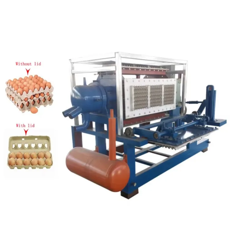 Paper Egg Tray Molding Machine Disposable Egg Box Egg Carton Manufacturing Machine Customized