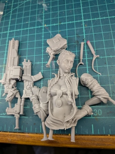Buyer photo of this resin kit