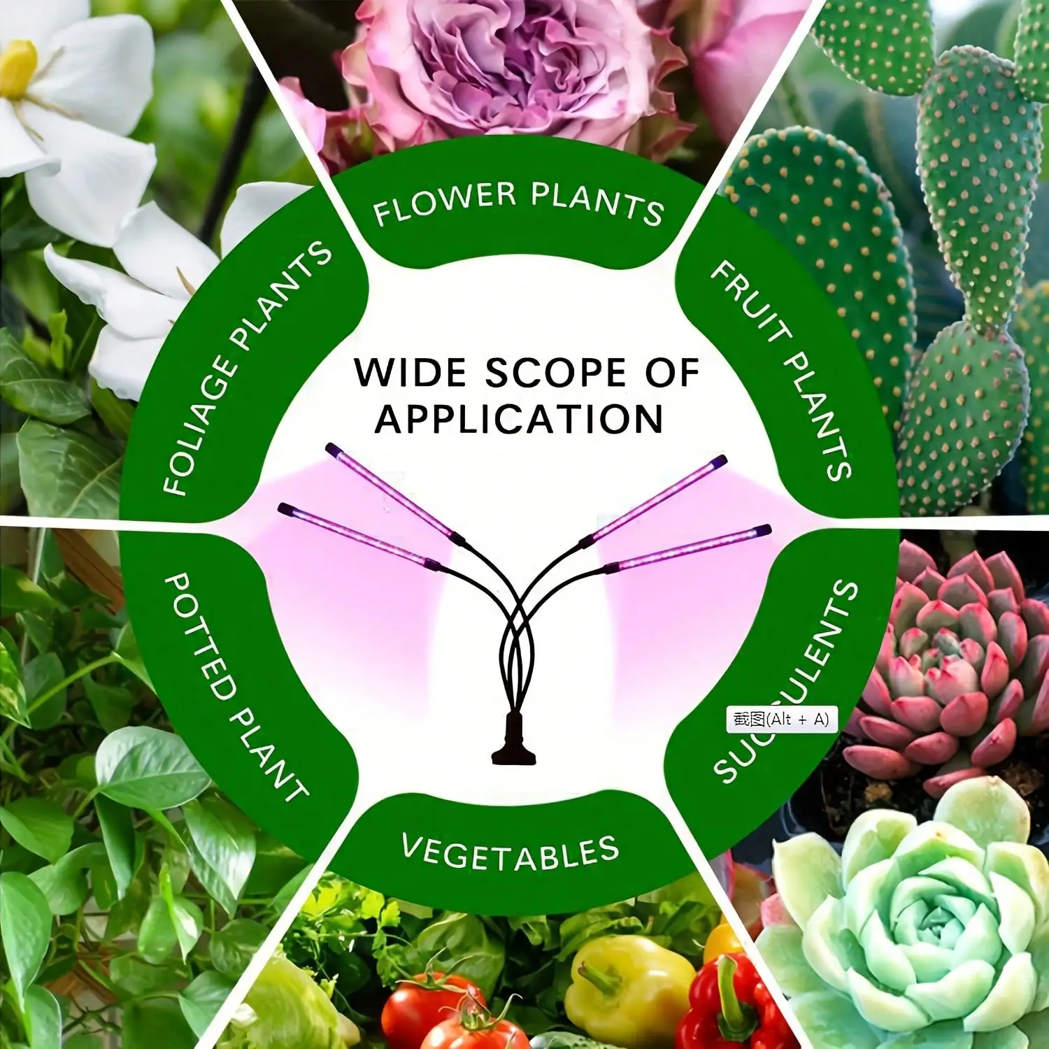 توقيت USB يعتم ضوء LED بأربعة رؤوس للنمو. الطيف الكامل 3-وضع - إضاءة نباتية داخلية تجارية لنمو صحي.