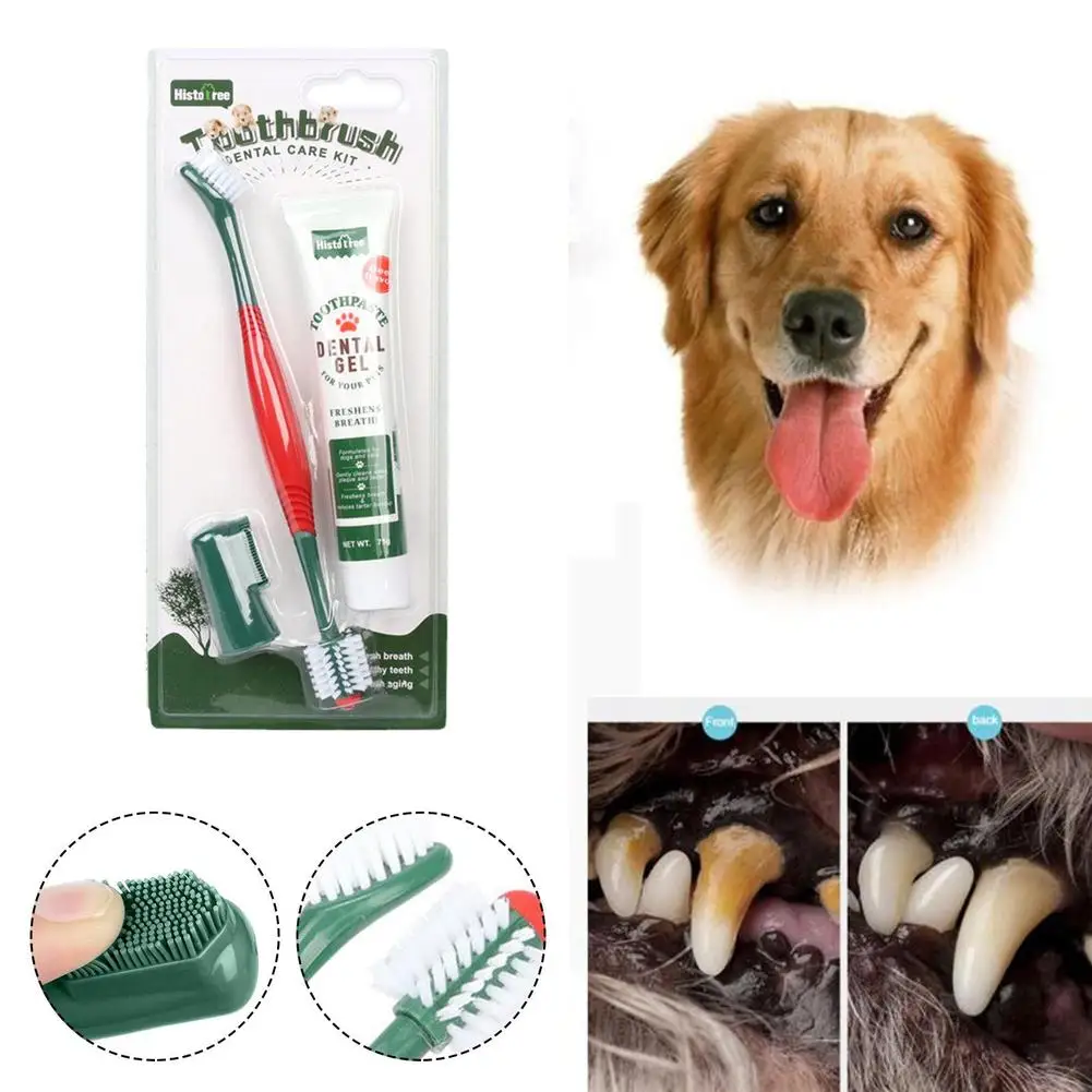 Pet Healthy Edible Toothpaste With Toothbrush Dog Cats Cleaning Vanilla Flavor Care Beef Teeth Mouth Flavor Dog Toothpaste N4B5