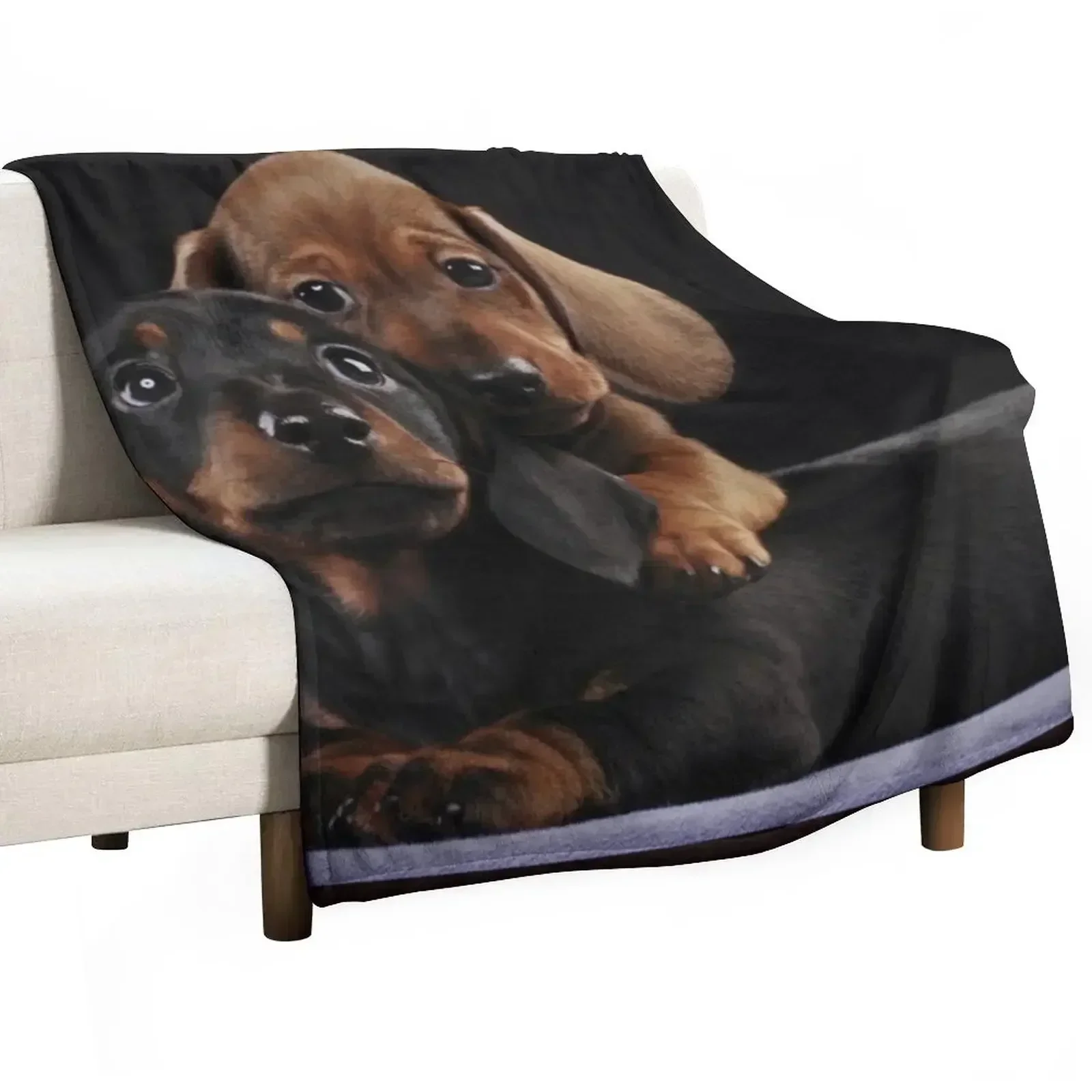 Dachshund Dog portrait photo pupies Throw Blanket Heavy bed plaid Multi-Purpose Stuffeds Blankets