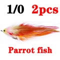 Parrot fish