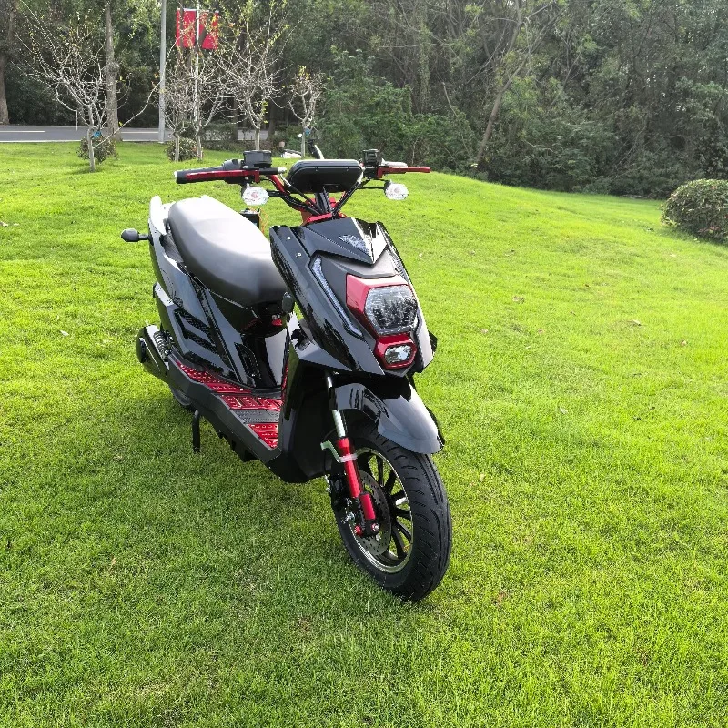2025 Newest High-Speed 2-Seat Electric Moped Scooter Disc Brake 1000W/1500W/2000W Power 60V Streetbikes Motorcycle For Adults Us