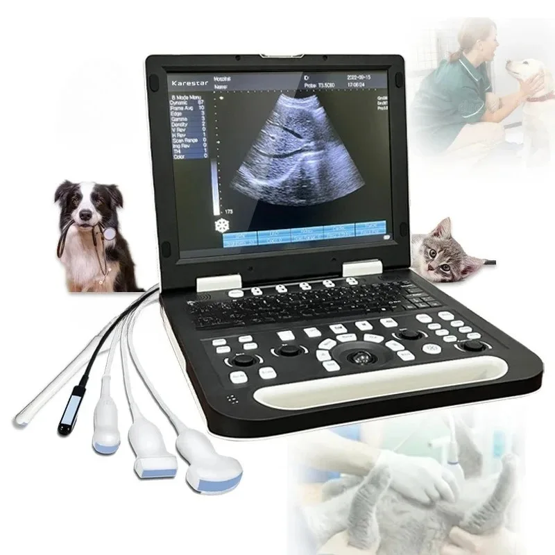 

2025 new Karestar K-H300 Vet Equipment USG Portable Ecograph Machine