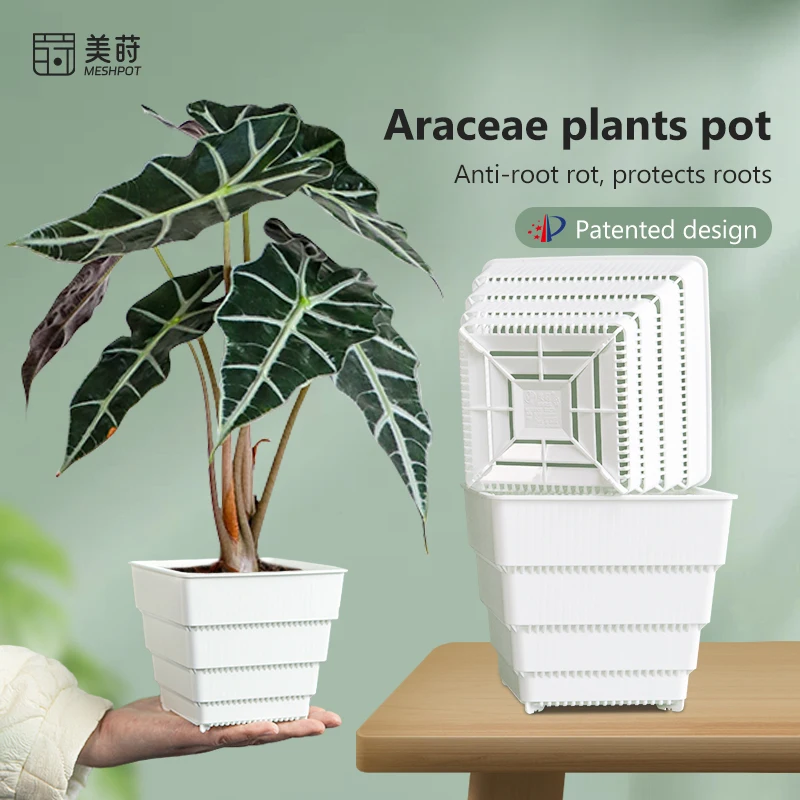 

Квадратные горшки Meshpot с воздушной обрезкой для диидов, тропических растений — дышащие горшки с контролем корней и дренажем (разные размеры)