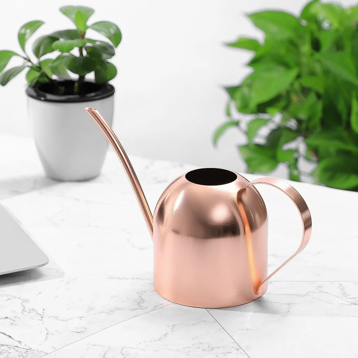 1000ml Stainless Steel Watering Can Indoor Plants Succulents Long Spout Watering Pot for Office (Copper)