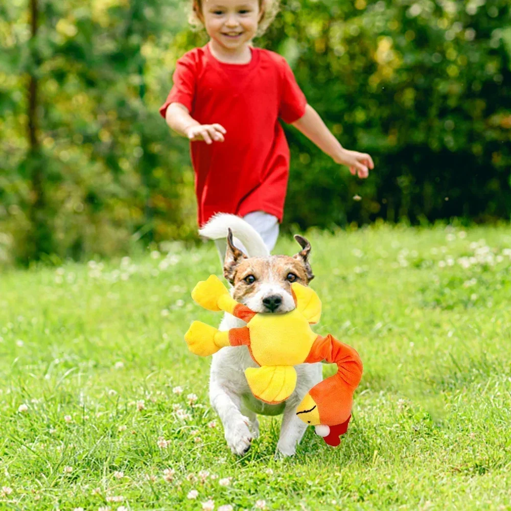 Plüsch Hundes pielzeug Huhn geformte biss beständige quietschende Spielzeuge für kleine große Hunde Welpen Haustiere Trainings zubehör Hunde zubehör