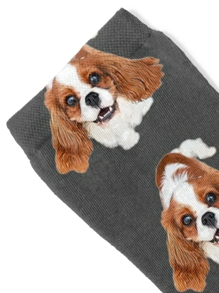 Cavalier King Charles Spaniel Beauty Socks funny gifts essential Designer Man Socks Women's