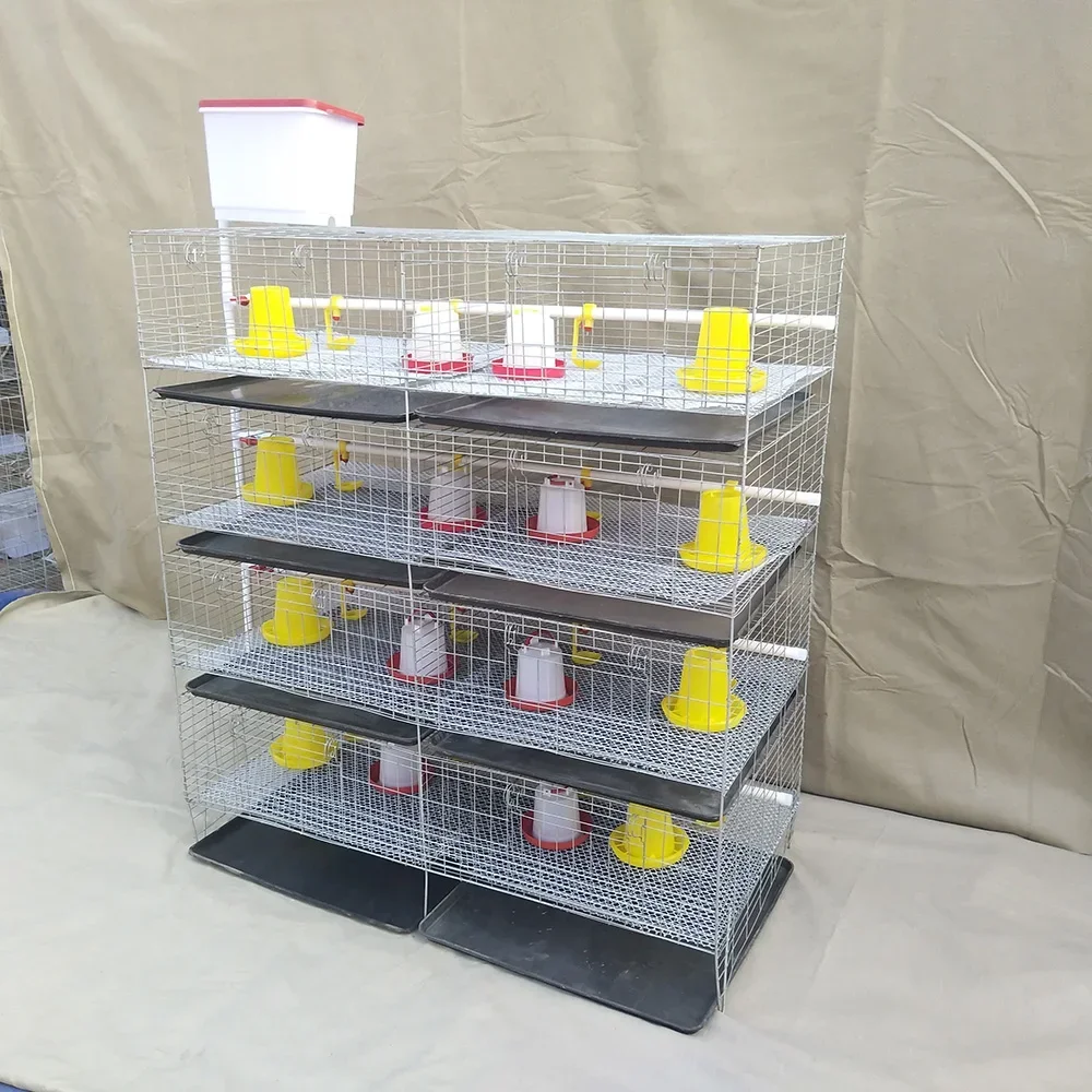 Moderne Baby-Kükenfutter, Geflügelfarmausrüstung, H-Typ, automatisches Batterie-Broiler-Hühnerkäfig-System für 1000 Vögel
