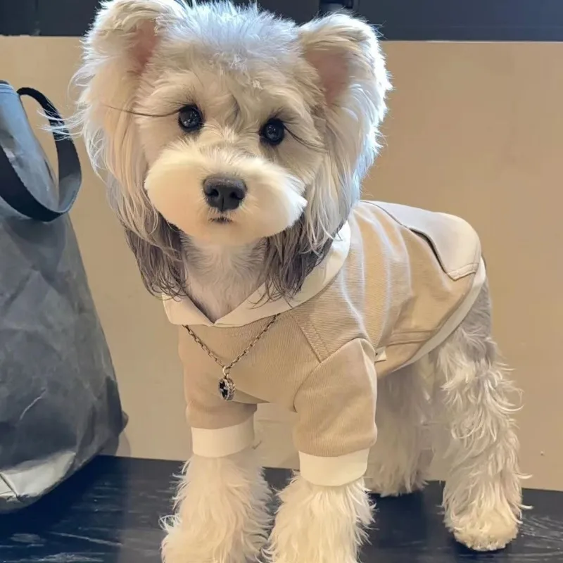Autumn and Winter New Dog Clothes Thickened and Warm Dharma Dou Schnauzer Bixiong Teddy Shiba Dog Cat Sweater Coat image 4