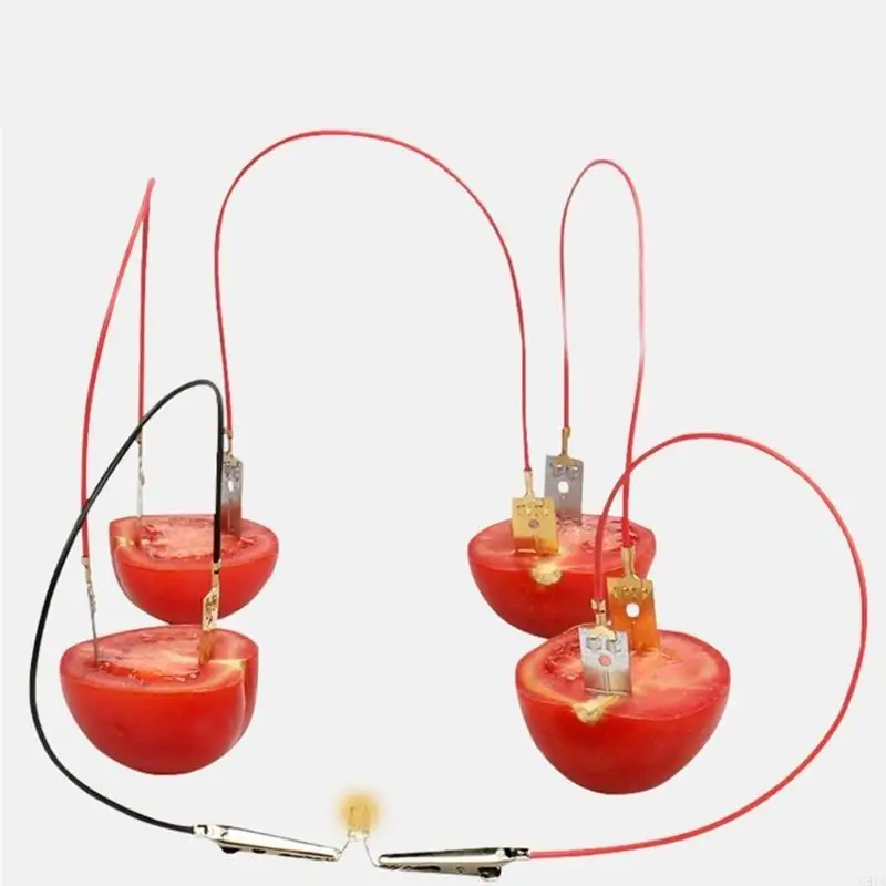 Эксперимент G8TA Fruit Power Experiment устанавливает набор батареи фруктовых аккумуляторов