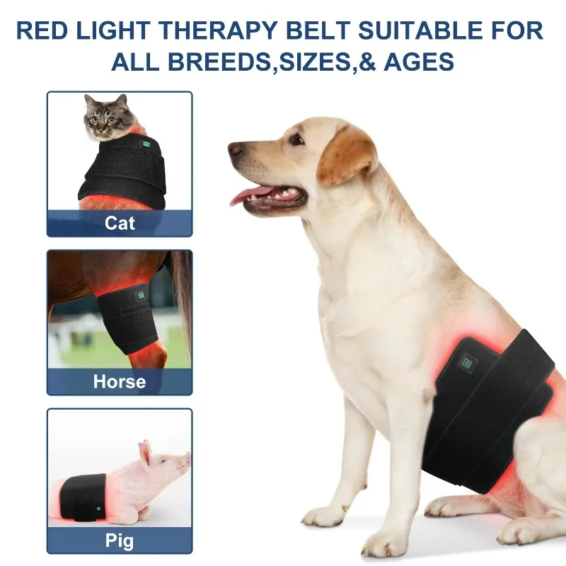 80*40cm Large 264 LED Red Light Therapy Blanket Infrared Pain Relief Wrap Mat for Dogs Cats Back