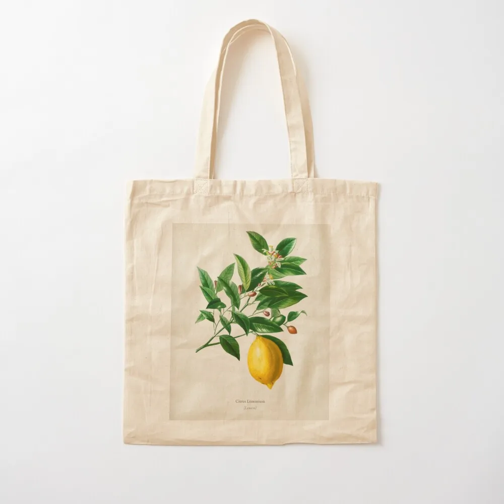 Lemon (Citrus Limonium) Tote Bag large size bags Shopper Lady bag Canvas shoulder bag