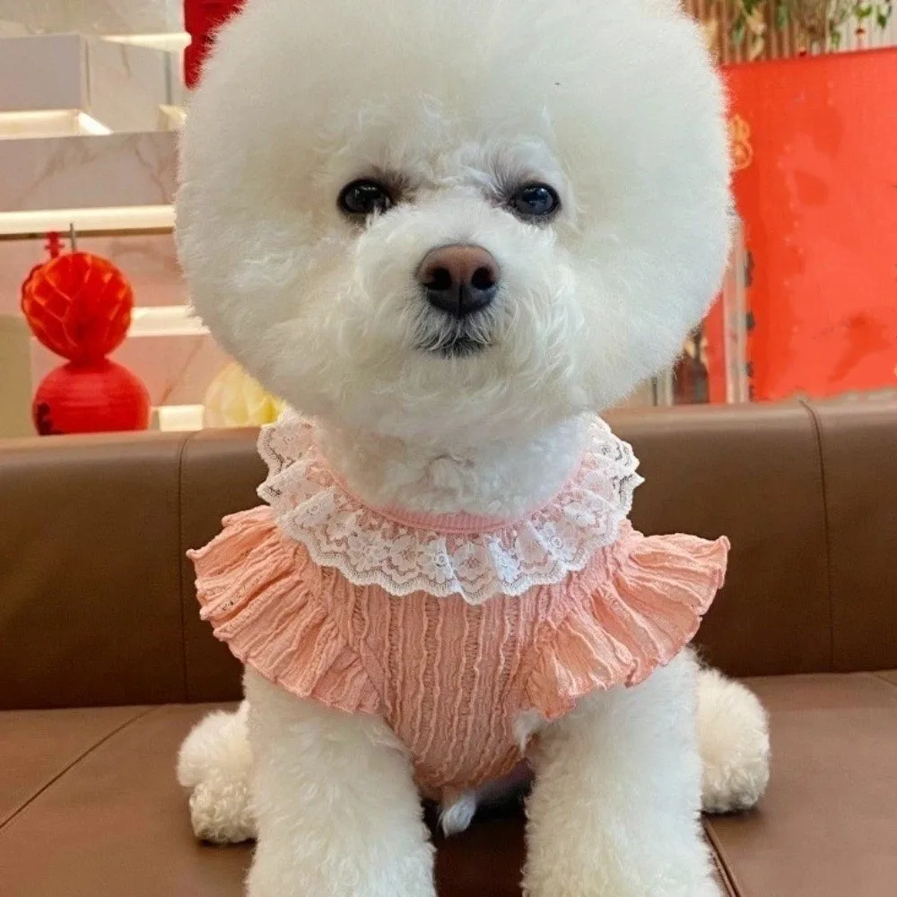 

Thin Breathable Puppy Princess Dress Lace Collar Comfortable Pet Puff Skirt with D-ring Soft Dog Tutu Skirt Daily Wear