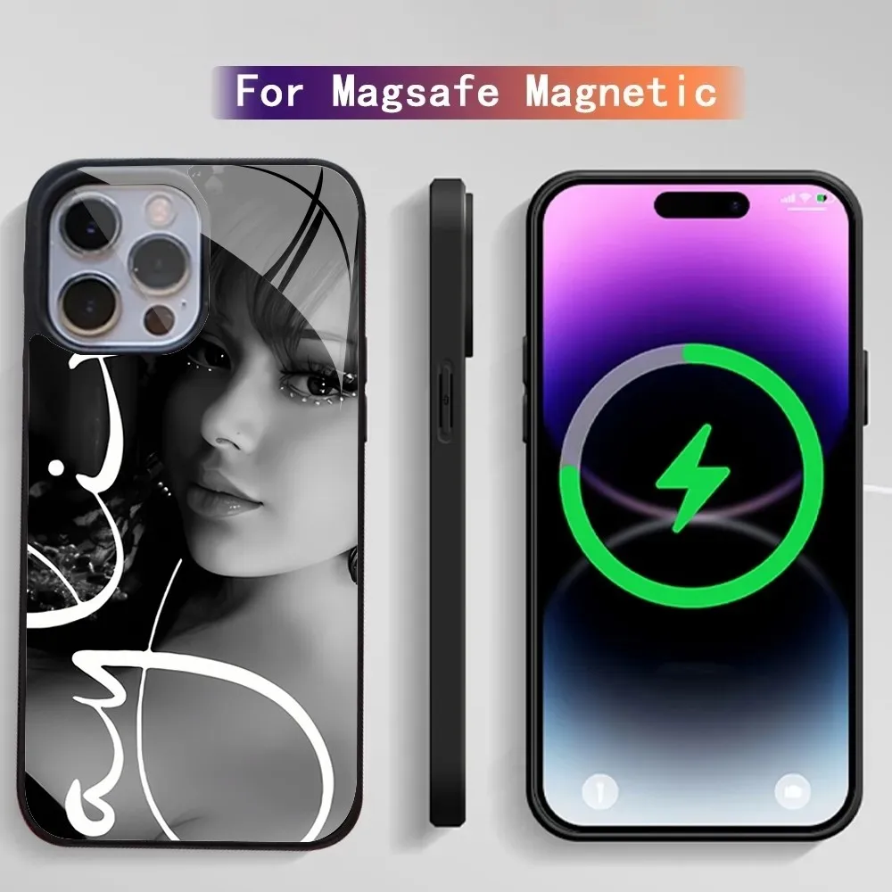 Ayliva Phone Case IPhone 15 14 13 Pro Max 11 12 Mini Alex Mirror Magsafe Wireless Charging Cover