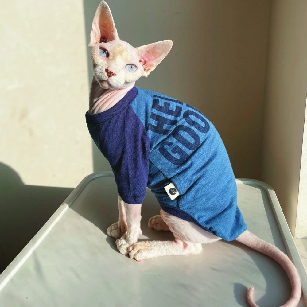 Cotton T-shirt for Cat in Autumn Spring Fashion Blue Letters Printing Sweatshirt  Cat Clothes Winter Undercoat for Devon Rex