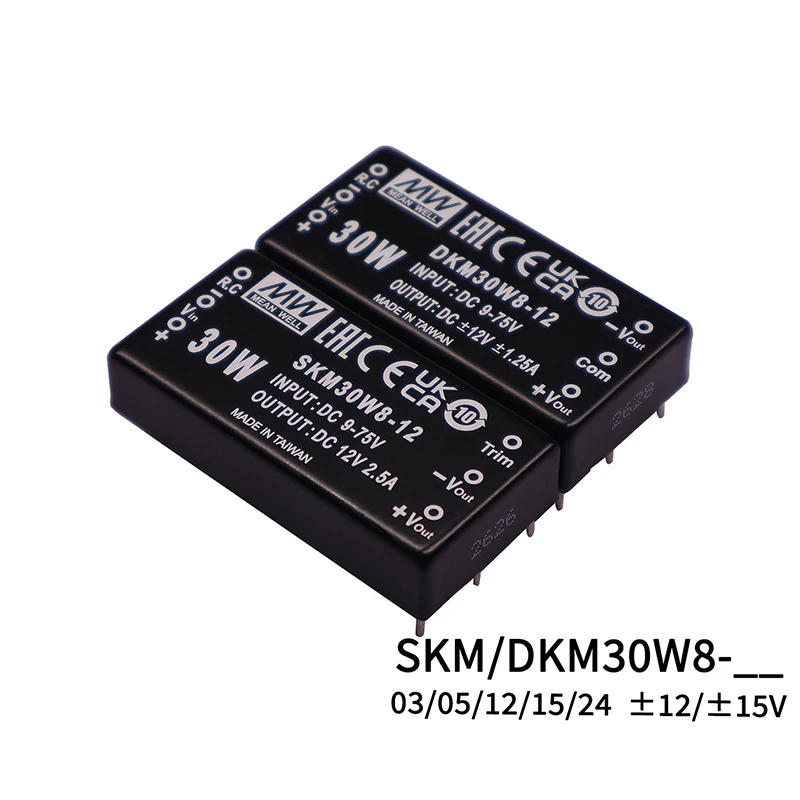 MEAN WELL Switching Power Module 30W 2