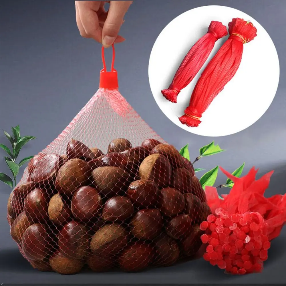 100 Pcs Nylon Thickened Mesh Pocket Reusable with Plastic Buckles Fruit and Vegetable Mesh Bags Scalable Mesh Net Bags