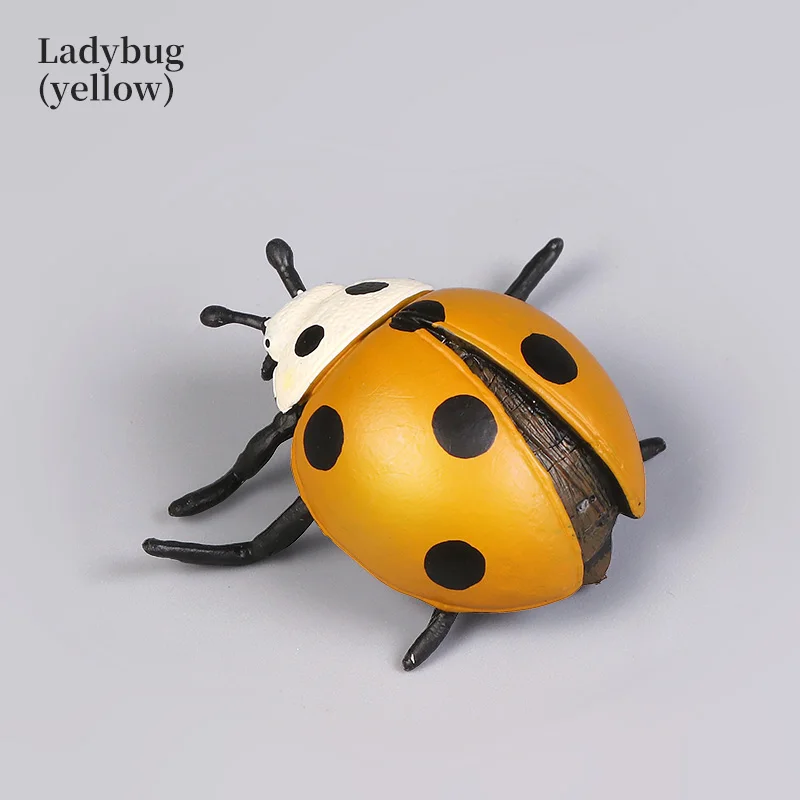 โมเดลแมลงเต่าทองเพื่อการศึกษา ของเล่นฟิกเกอร์จำลองสัตว์ ของสะสมตกแต่ง เหมาะสำหรับการเรียนรู้และความสนุก