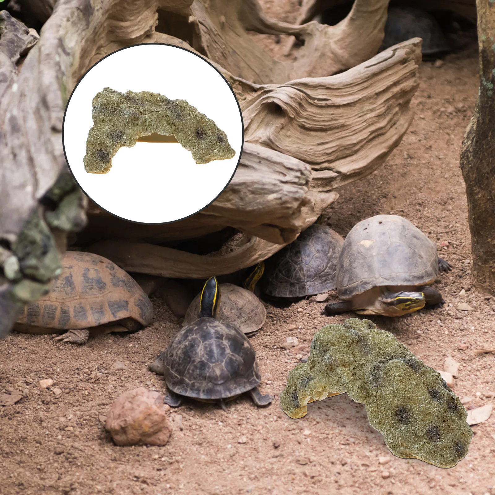

Rock Reptiles Hiding Cave Durable Secure Cozy Reptile Shelter Terrarium Ornament Tortoise Platform Lizard Cave