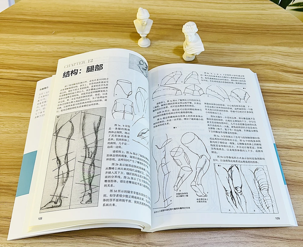 Panduan Lengkap Menggambar Figur Manusia、     Teknik Menggambar Anatomi Manusia: Cahaya, Bayangan & Garis、Keterampilan Menggambar Figur