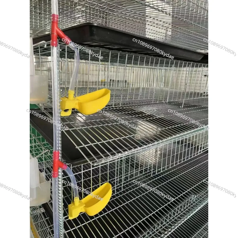 H Type Battery Layer Quail Breeding Cage Poultry Farming Equipment Automatic Egg Collection Manure Tray