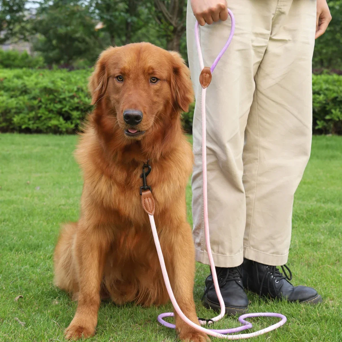 

A gradient colorful outdoor multi-functional round rope pet dog handle dog leash