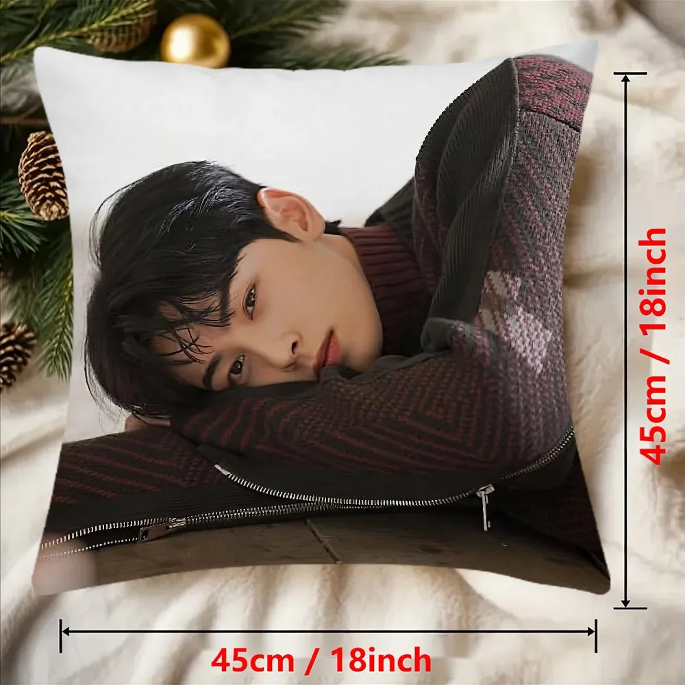 Cha Eun Woo Pattern Square Pillowcase Zipper Printed Cover Home Bedroom Spring Decor No Insert
