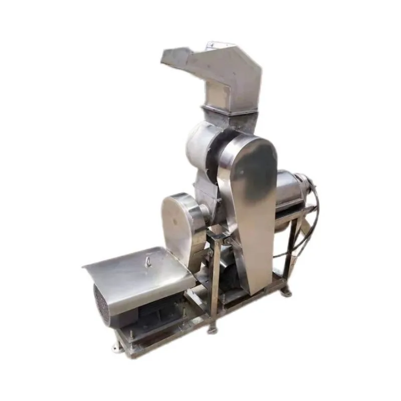 

Large industrial juicer ginger carrot grape spiral press commercial dragon fruit pineapple juicer