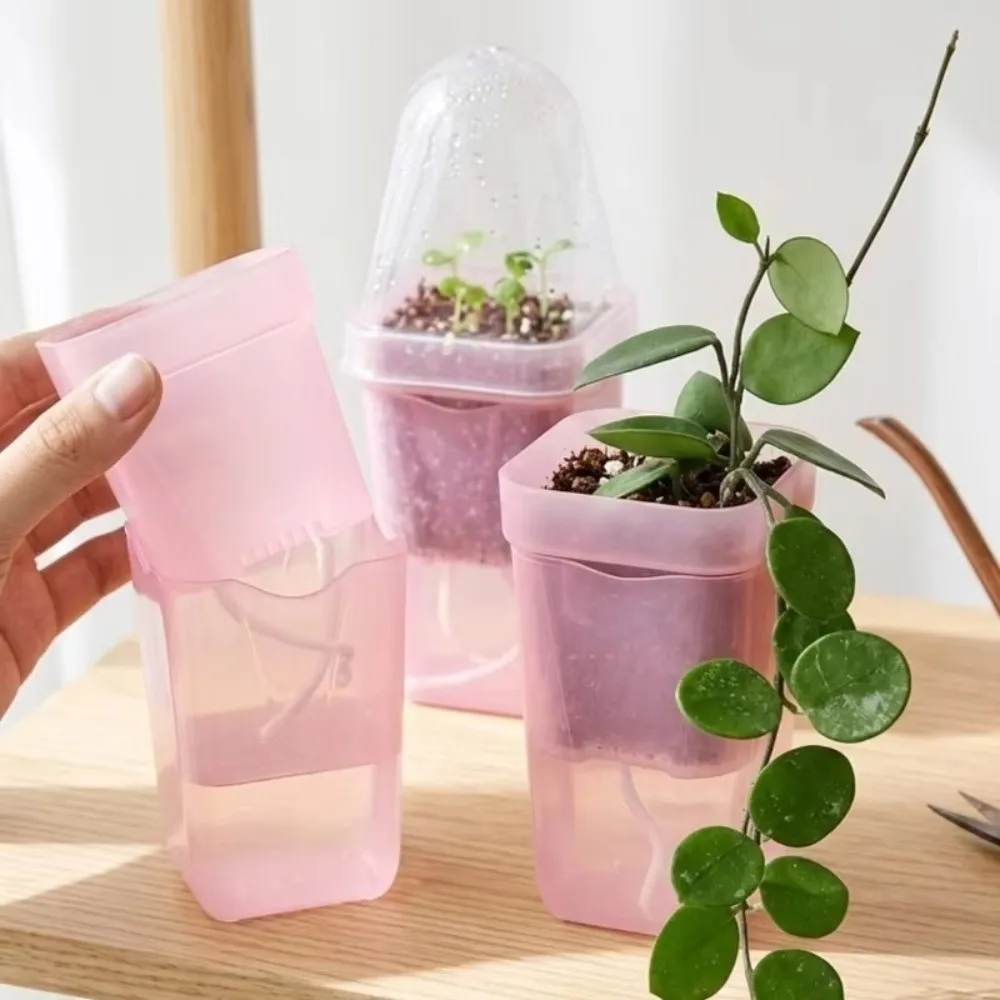 New Plastic Self-Watering Flower Pots Double-Layer Structure Root View Transparent Plant Pots Nursery Pots Succulent Growing