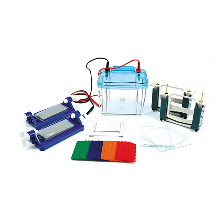 

China Hot Sale DYCZ-25E Vertical Gel Electrophoresis Chamber Electrophoresis Machine in a Low Price