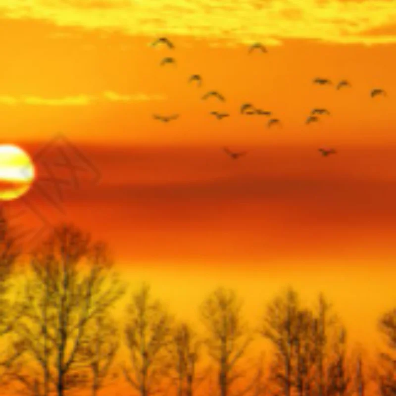 Прочный чехол для хранения для FiiO M3K M6 M9 m11 MK2, защитный чехол, сумка Прочный чехол для хранения для FiiO M3K M6 M9 m11 MK2, защитный чехол, сумка