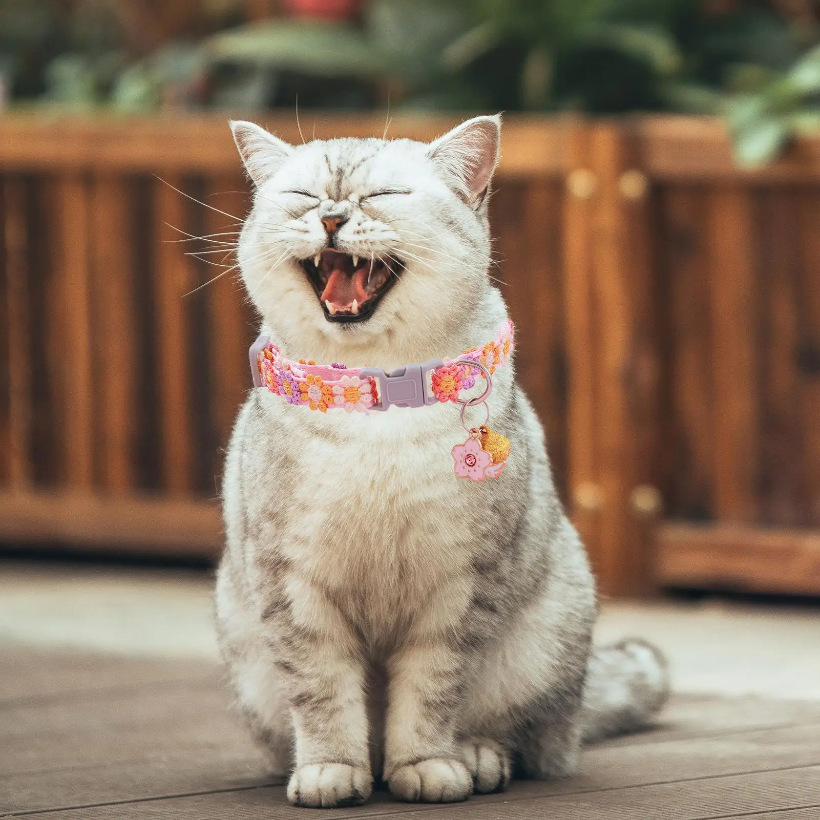 Kitten Collar Breakaway Colorful Flower Pet Adjustable Collar with Bell Pet Supplies Cat Accessories Cute Kitten Costume Neck