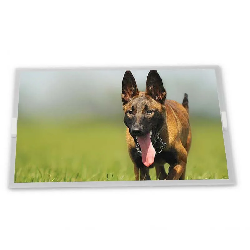 

New 6.4inch LB064V02-TD01 Resolution 640*480 High Quality LCD Screen Zhiyan Supply