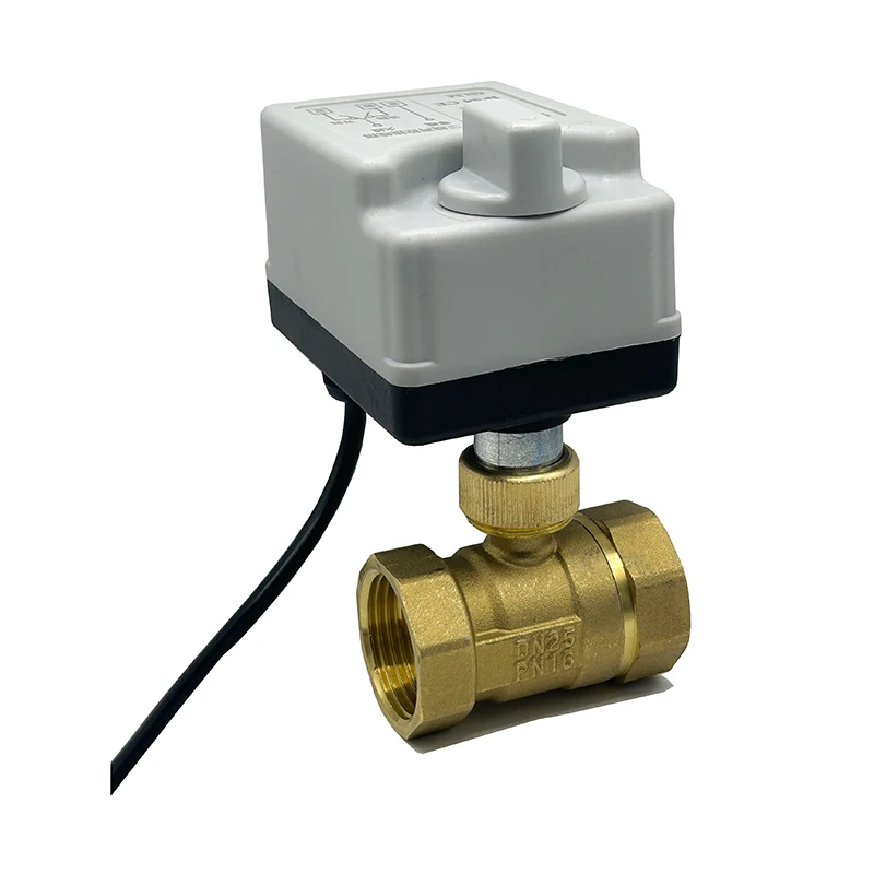 Imagem -02 - Válvula de Esfera Motorizada em Dois Sentidos com Interruptor Manual 220v 12v 24v Válvula de Esfera Elétrica de Bronze 3-wire Controle de Pontos 1