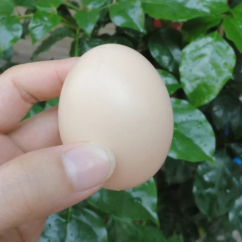 5/10Pcs Chicken House Small Fake Eggs 5.5*4cm Farm Animal Supplies Cages Accessories Guide Chicken Nest Egg Painting