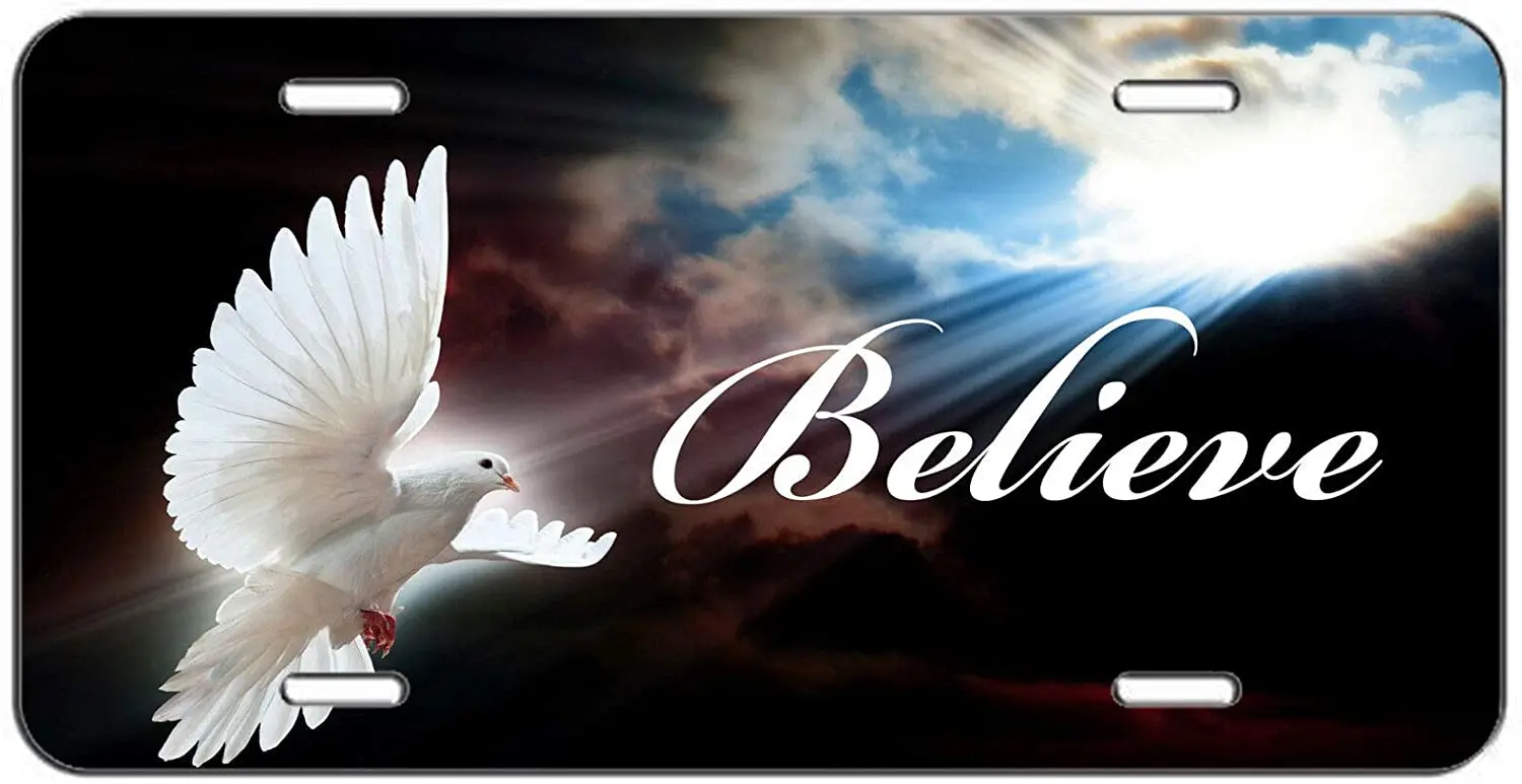 

nonbrand Into The Light Dove Christian Believe Car Front License Plate with 4 Holes Metal License Novelty Tag