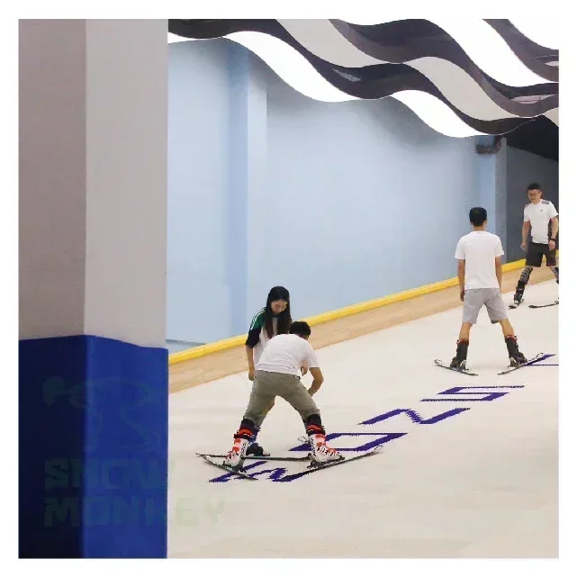 Sample Mushroom Dry Ski Mat Artificial Snow Slope SAMPLE