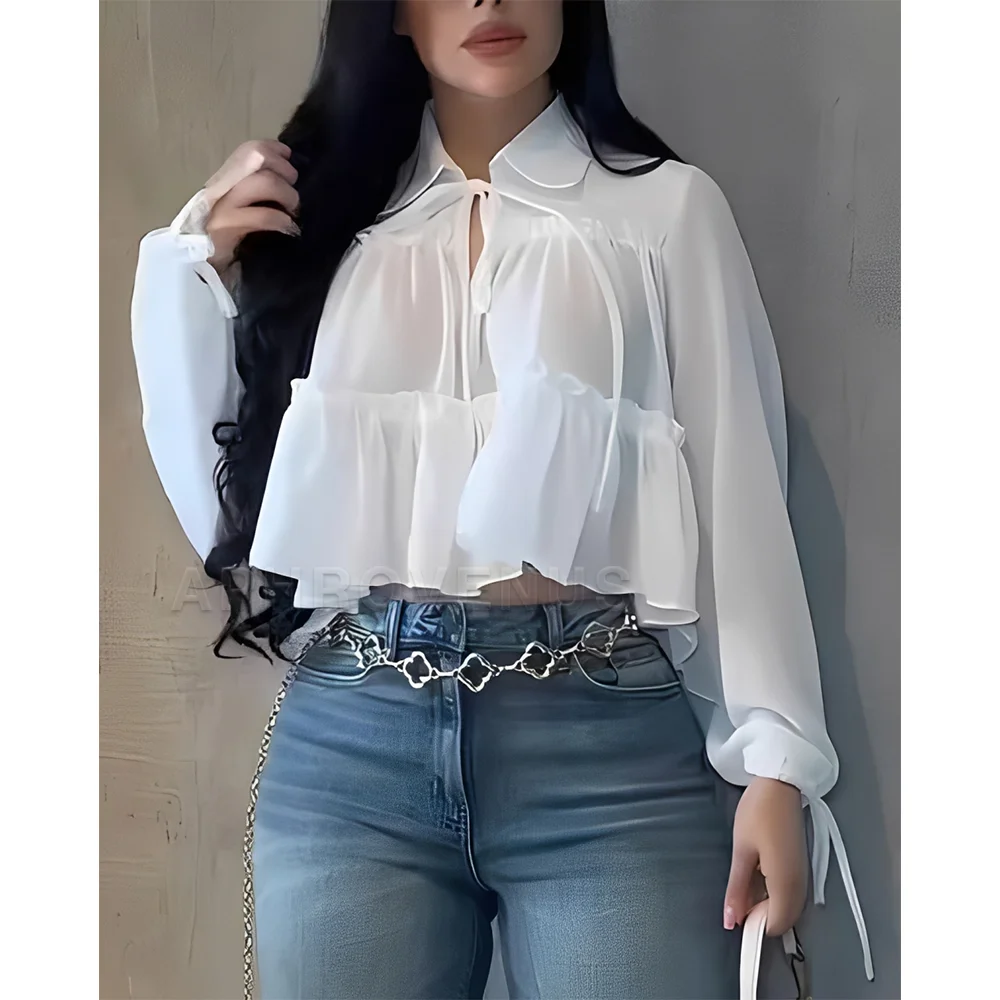 Women's Flowy Chiffon Shirt Long Sleeve Ruffle Detail Loose Fit Blouse Casual Everyday Tops for Women  Spring Autumn