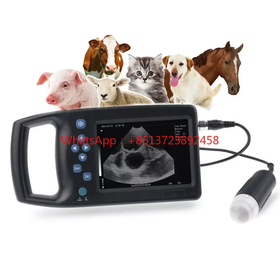 RS Custom 5.7 Inch Handheld Veterinary B-ultrasound Diagnostic Instrument with Probe New Animal Diagnostic Equipment