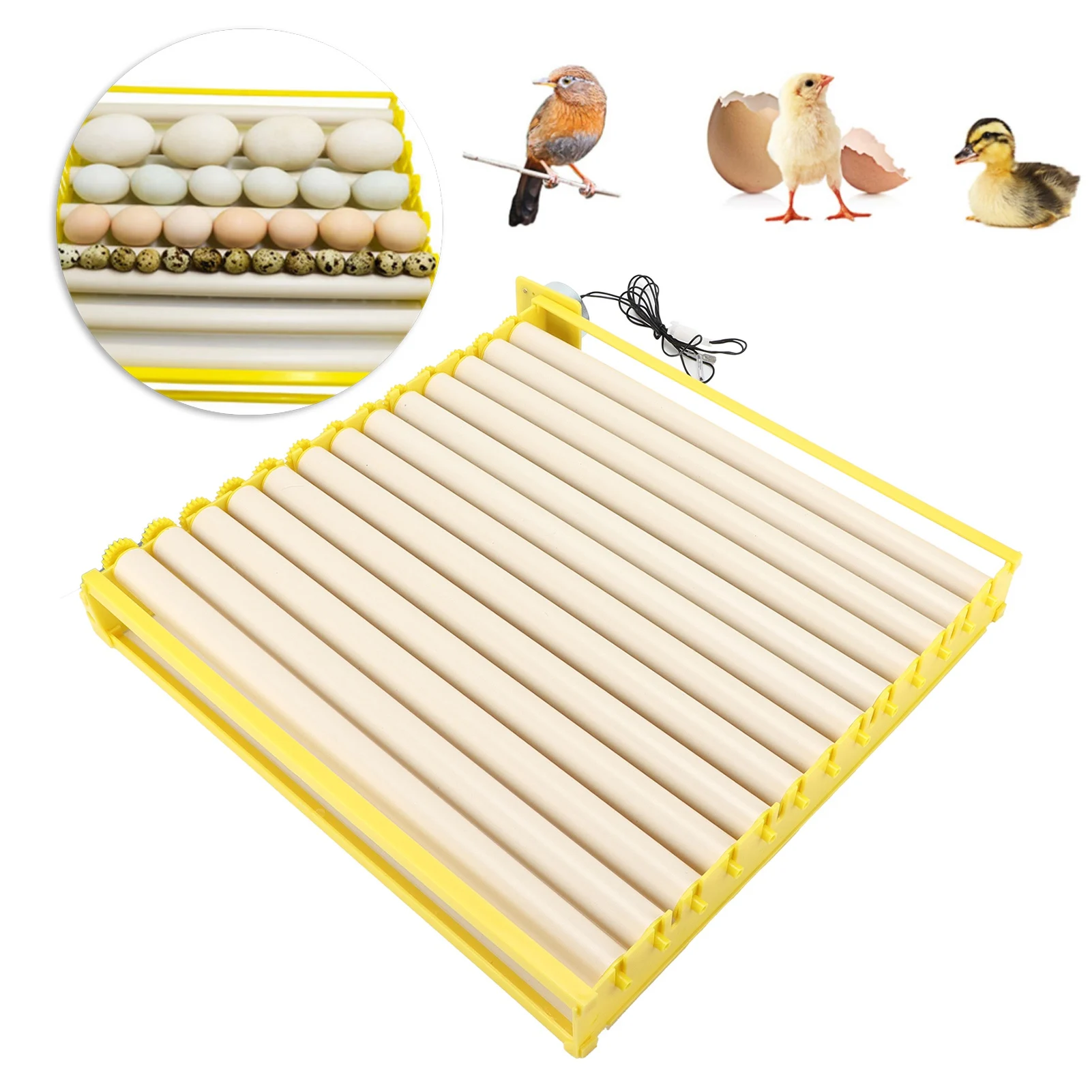 

Fully Automatic Egg Incubation Tray Household Egg Incubator Tray for Chicken Duck Goose Quail Household Egg Incubator Tray