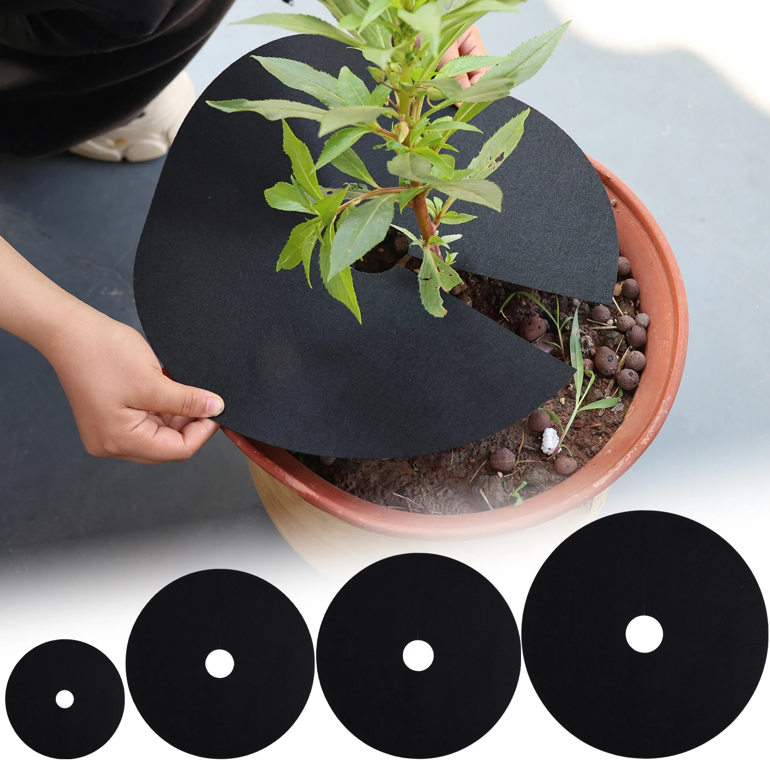 Anéis de mulch de árvore não t - Bonsai Garden Tree avaliação e preço