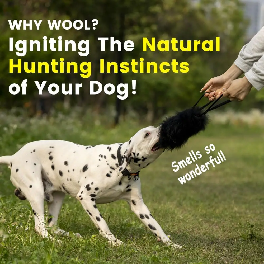 لعبة حبل الكلب لعبة المطارد بنجي تفاعلية لعبة شد الحيوانات الأليفة مقبض مزدوج رائحة الأغنام للكلاب المتوسطة والكبيرة في الهواء الطلق