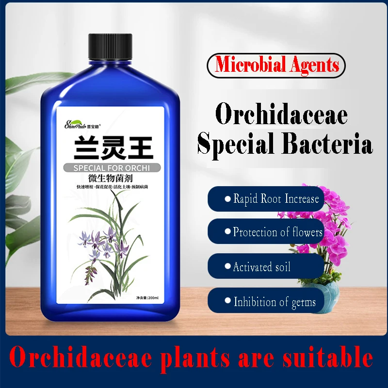 Orchidaceae Plant Orchid Special Fertilizer Microbial Bacteria Nutrient Solution Promoting Bud Promoting Peanut Root