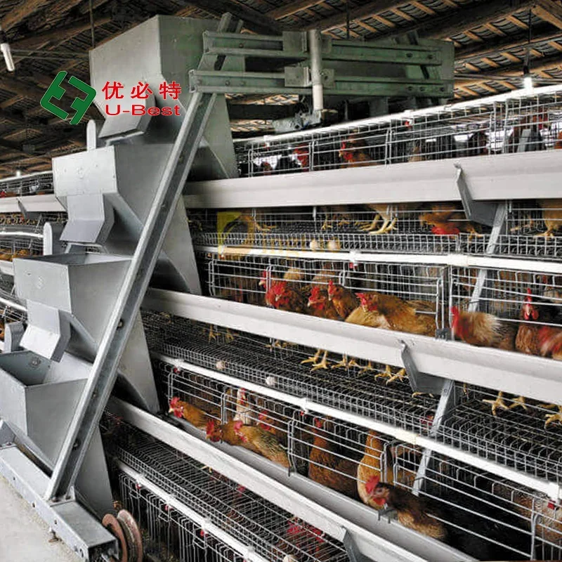 

Factory Price Poultry Farm Equipment Layer Chicken Battery Cage a Type